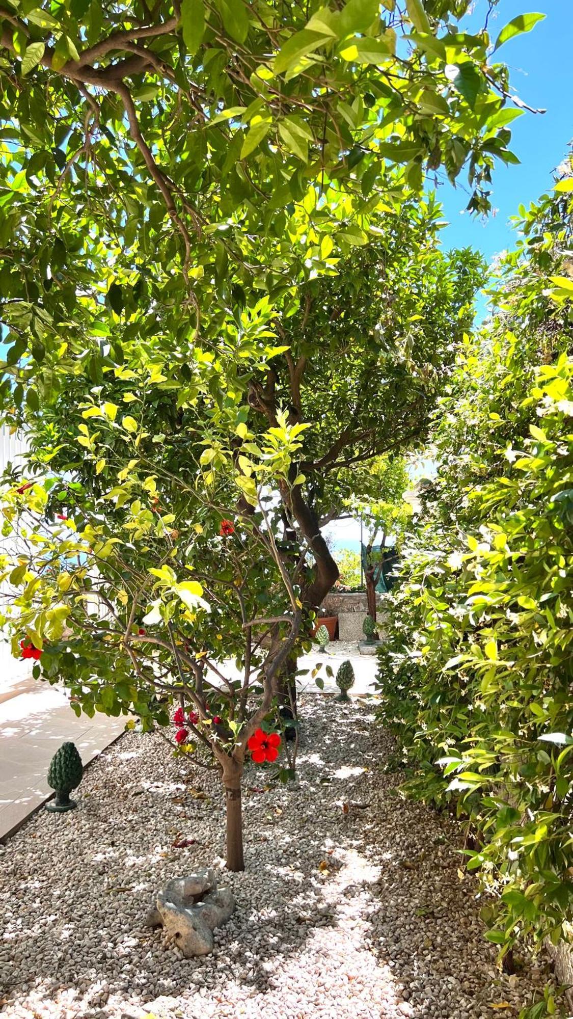 Mediterranea, Taormina, Private Pool & Sea View *